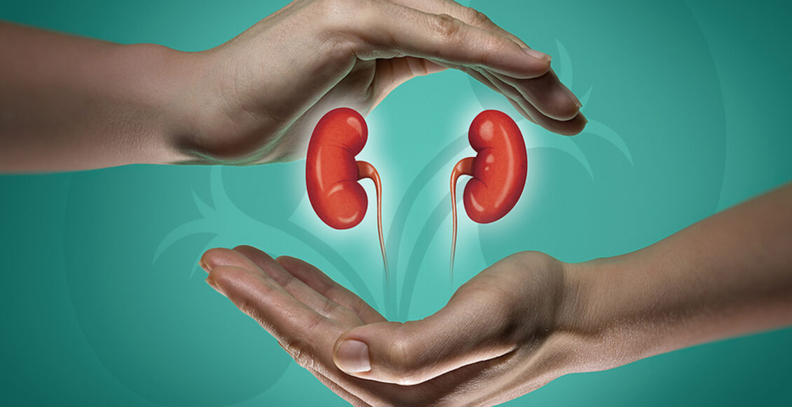 Las 12 Campanadas hacia una Salud Urológica Óptima: Un Viaje Anual de Cuidado